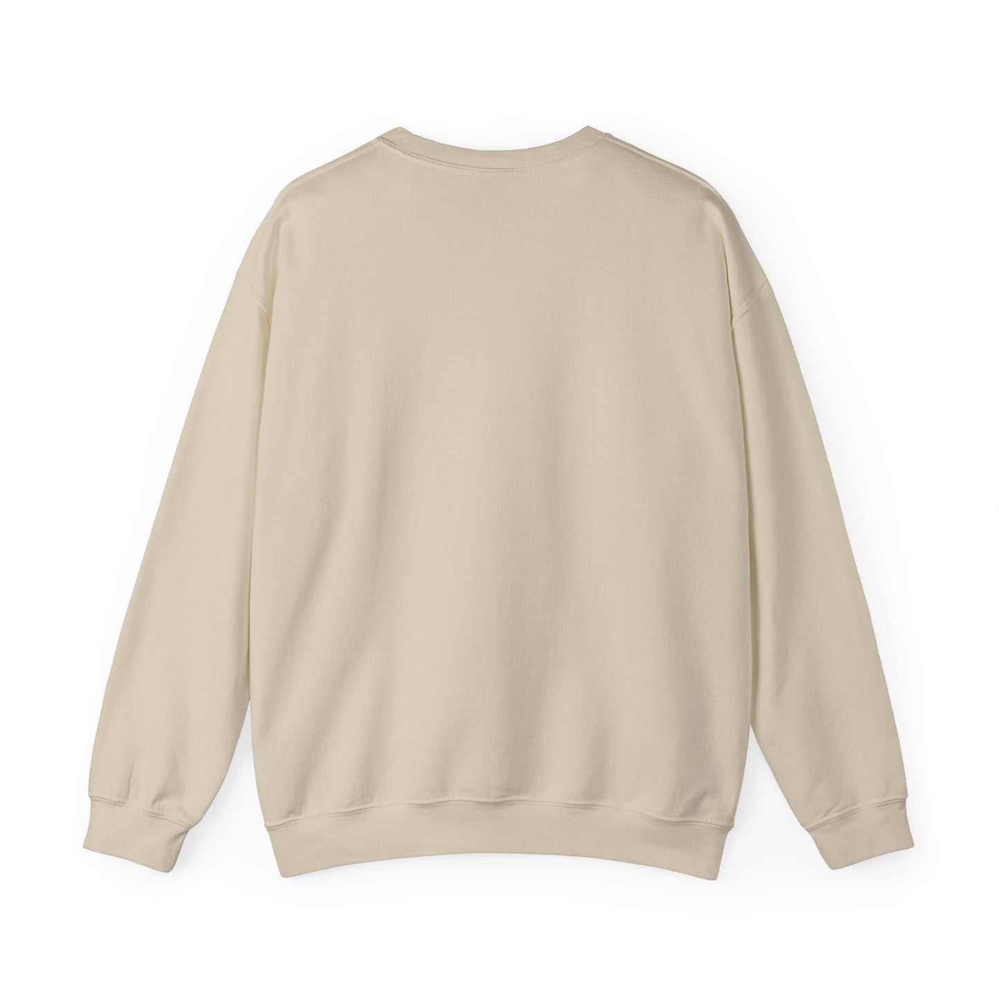HERE COMES THE AEROPLANE - Sweatshirt
